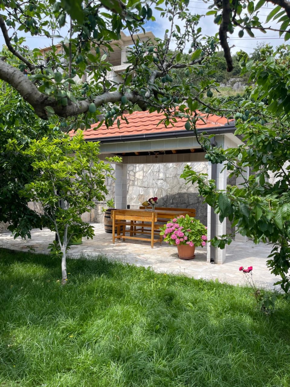 Property building, Garden, Garden view