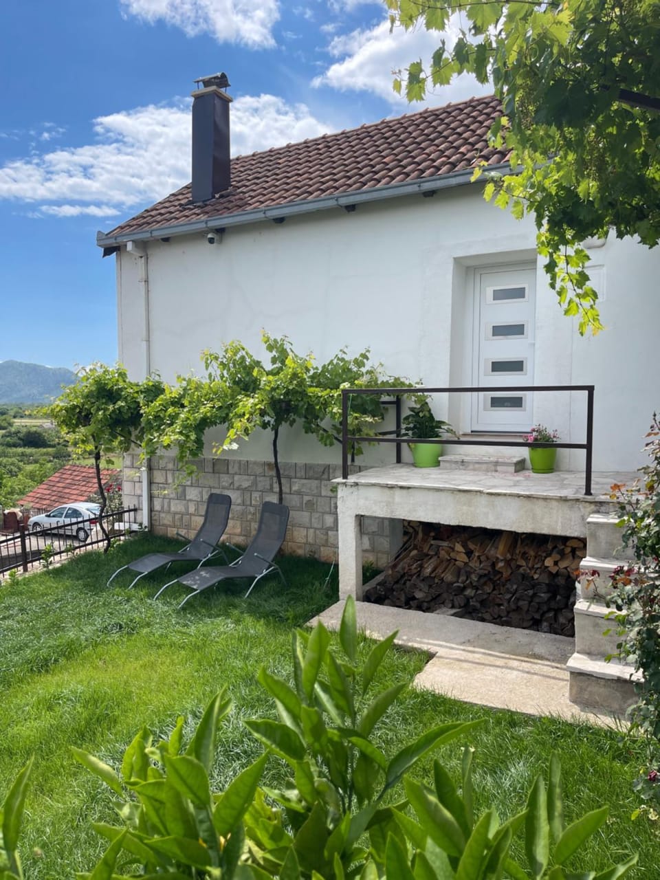 Garden view