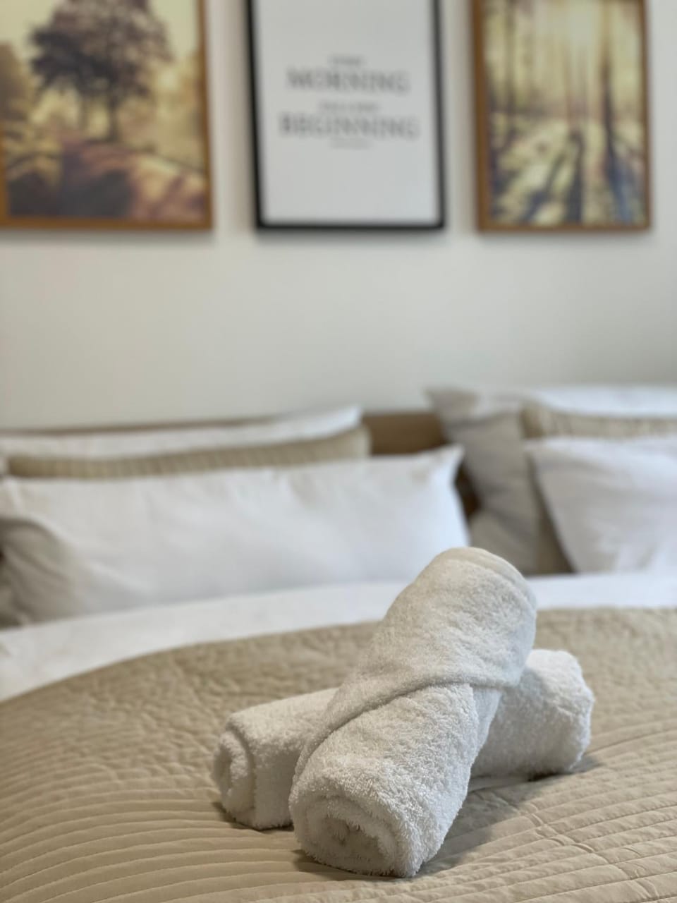 Bed, Photo of the whole room, Bedroom, towels