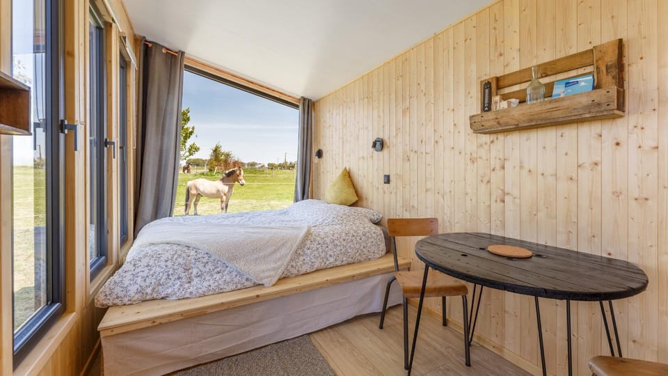 Bed, Photo of the whole room, Dining area, Bedroom