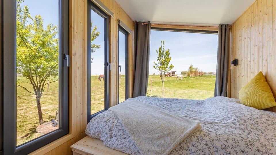 Natural landscape, Garden, Photo of the whole room, Garden view