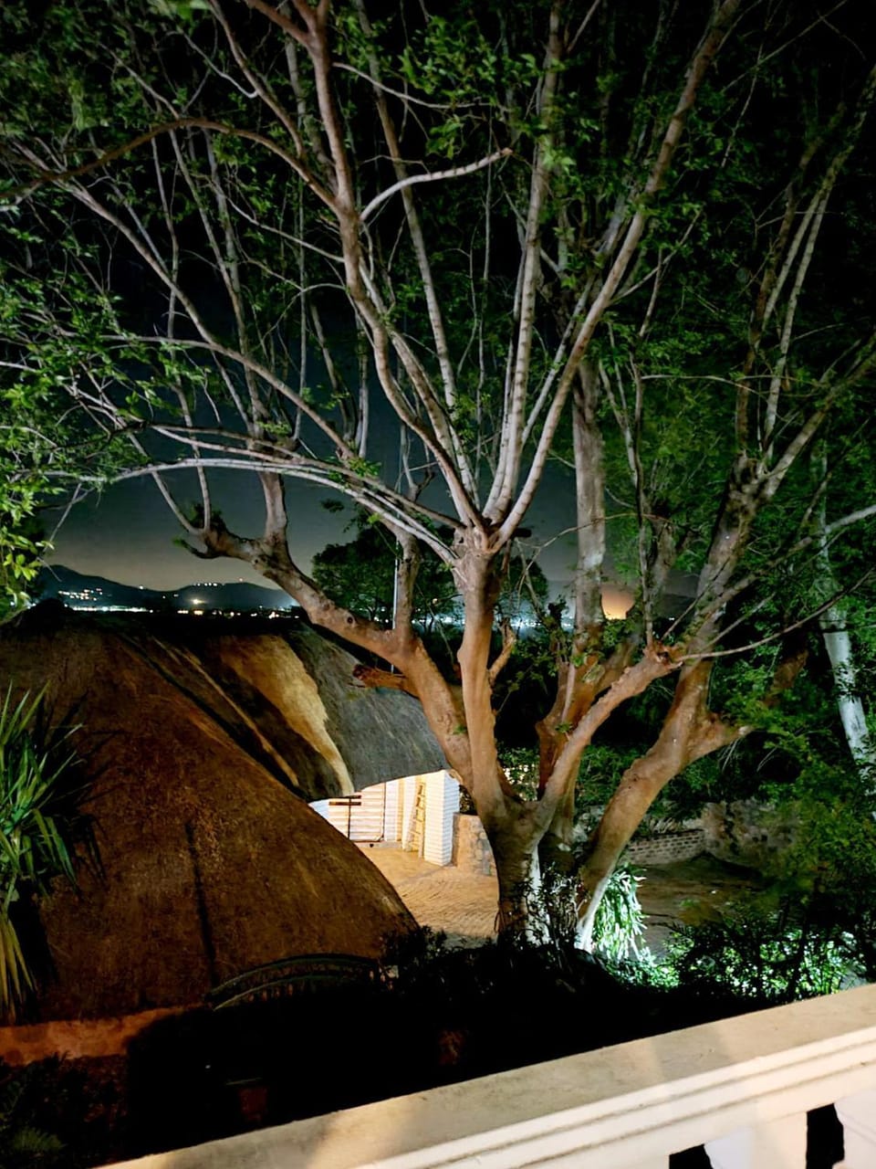 147@ Simon Bekker Kosmos Nature lodge in Gauteng