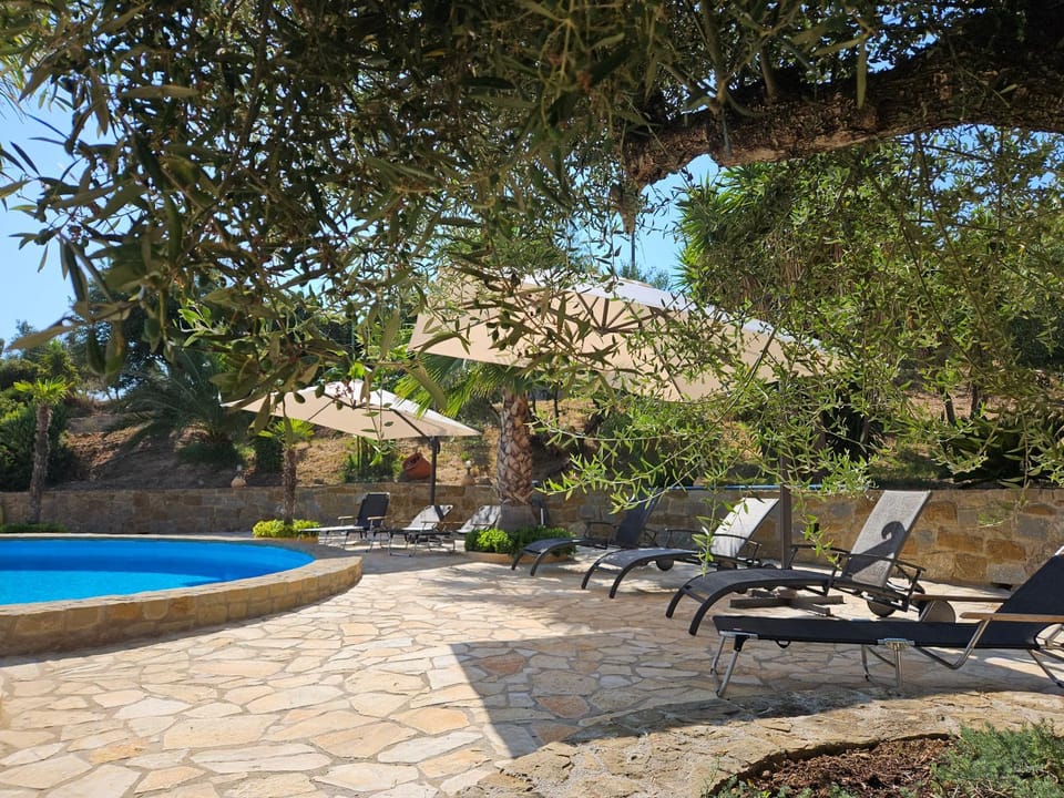 Pool view, sunbed