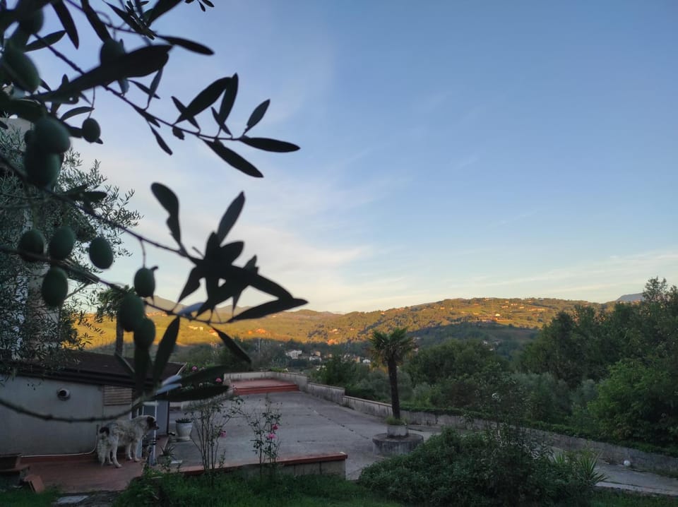 Spring, Day, Neighbourhood, Natural landscape, Mountain view