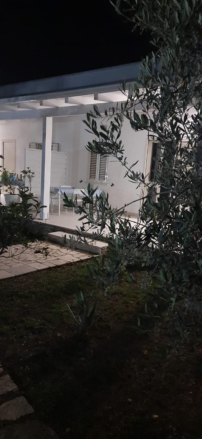 Property building, Garden, Garden view