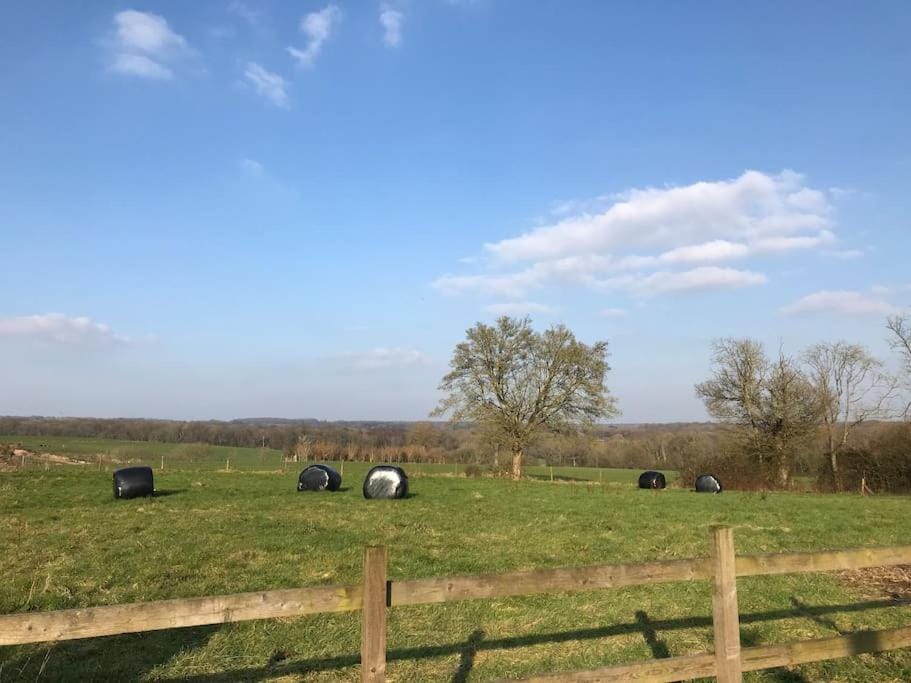 The Cowshed Apartment in Test Valley District