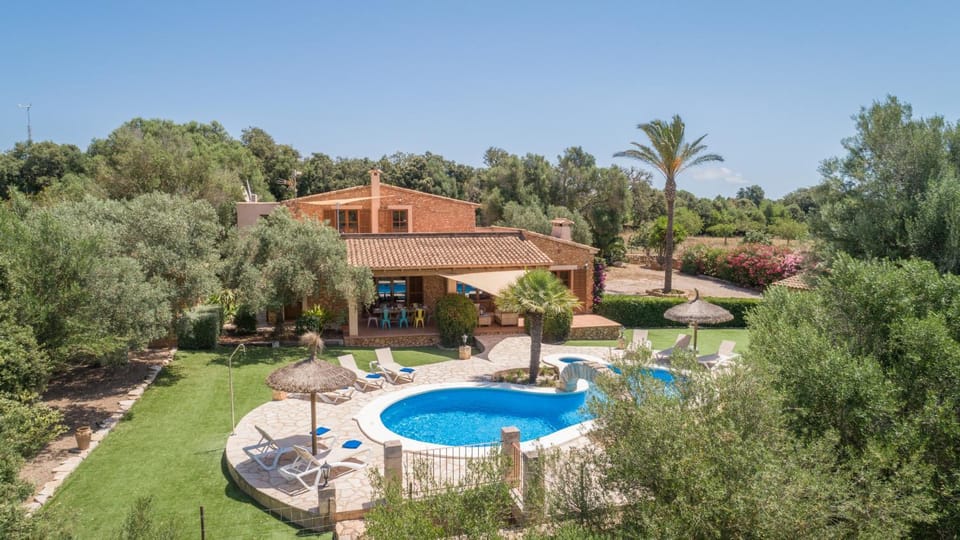 Patio, Garden, Garden view