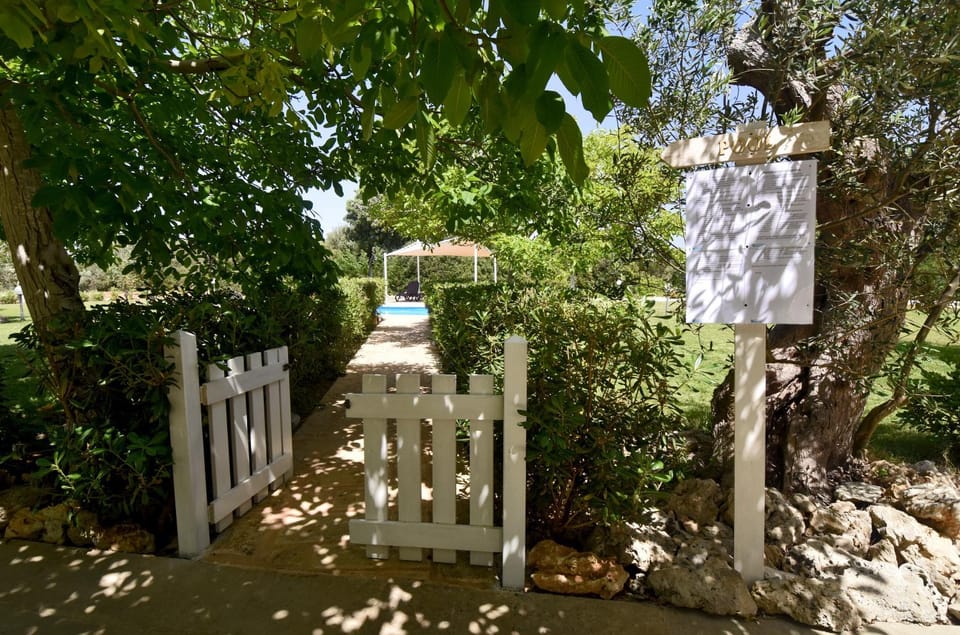 Natural landscape, Garden