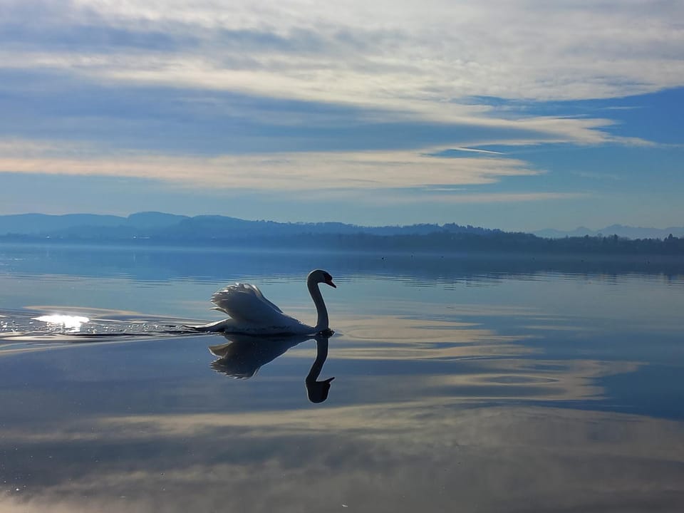 Natural landscape, Lake view