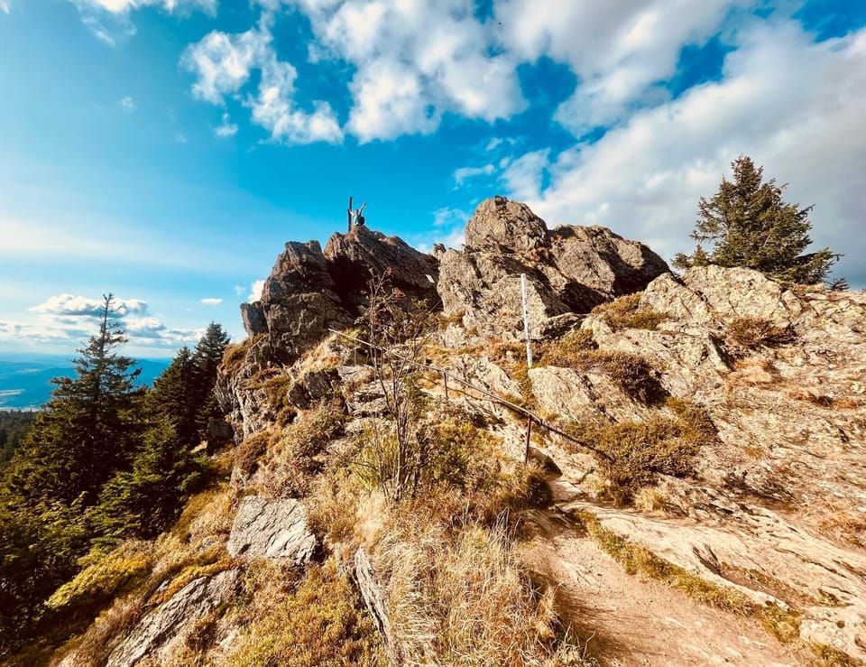 Natural landscape