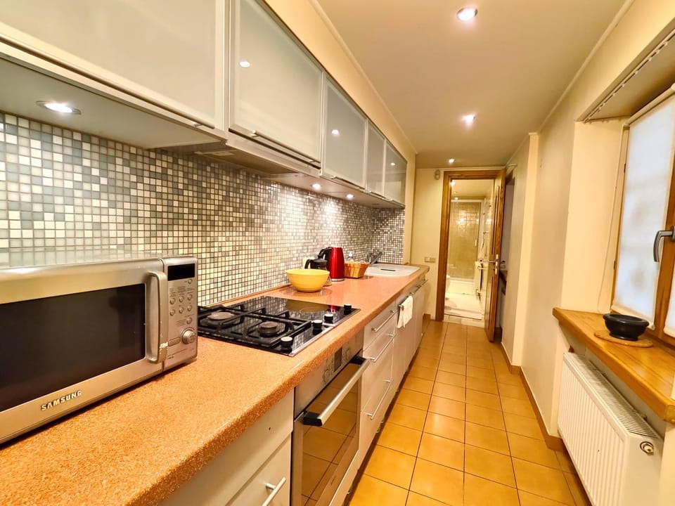 Kitchen or kitchenette, minibar, pet friendly, stove