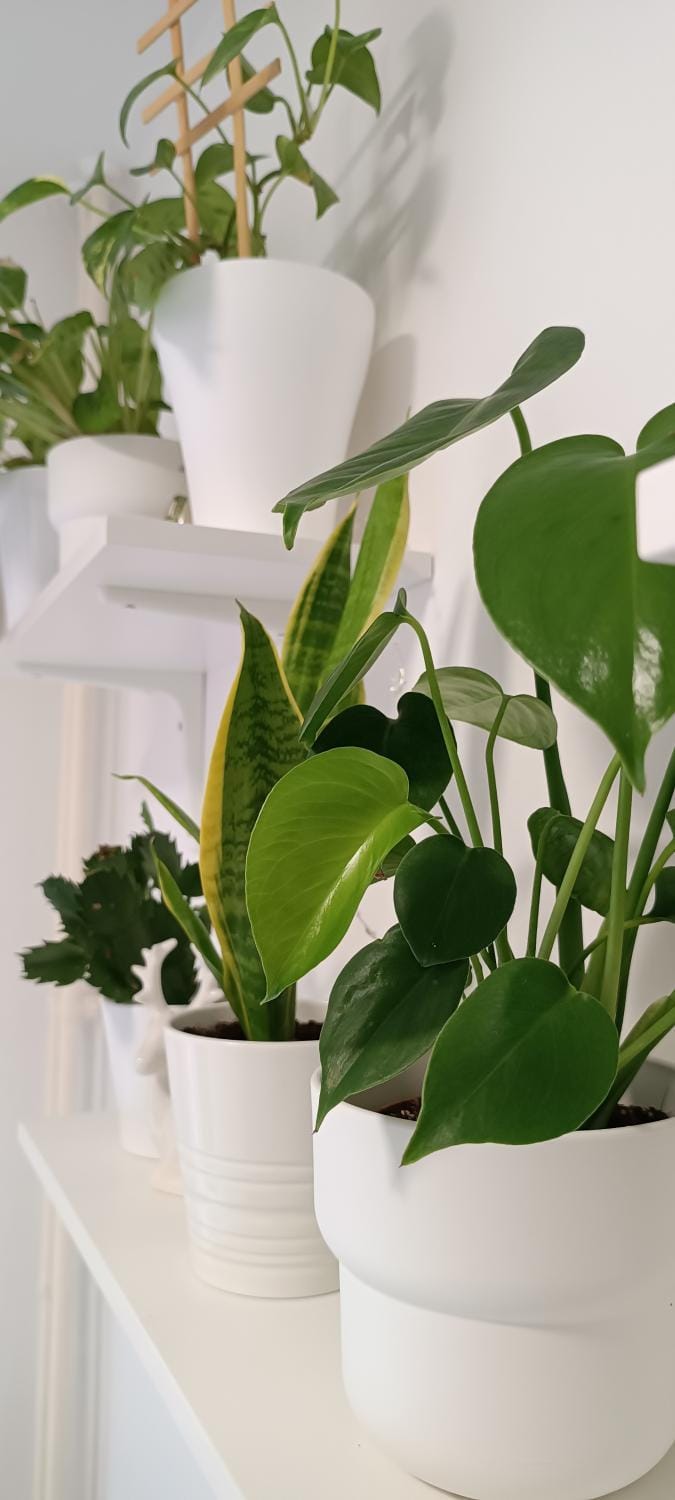 Plitvice Green Apartment Apartment in Jezerce