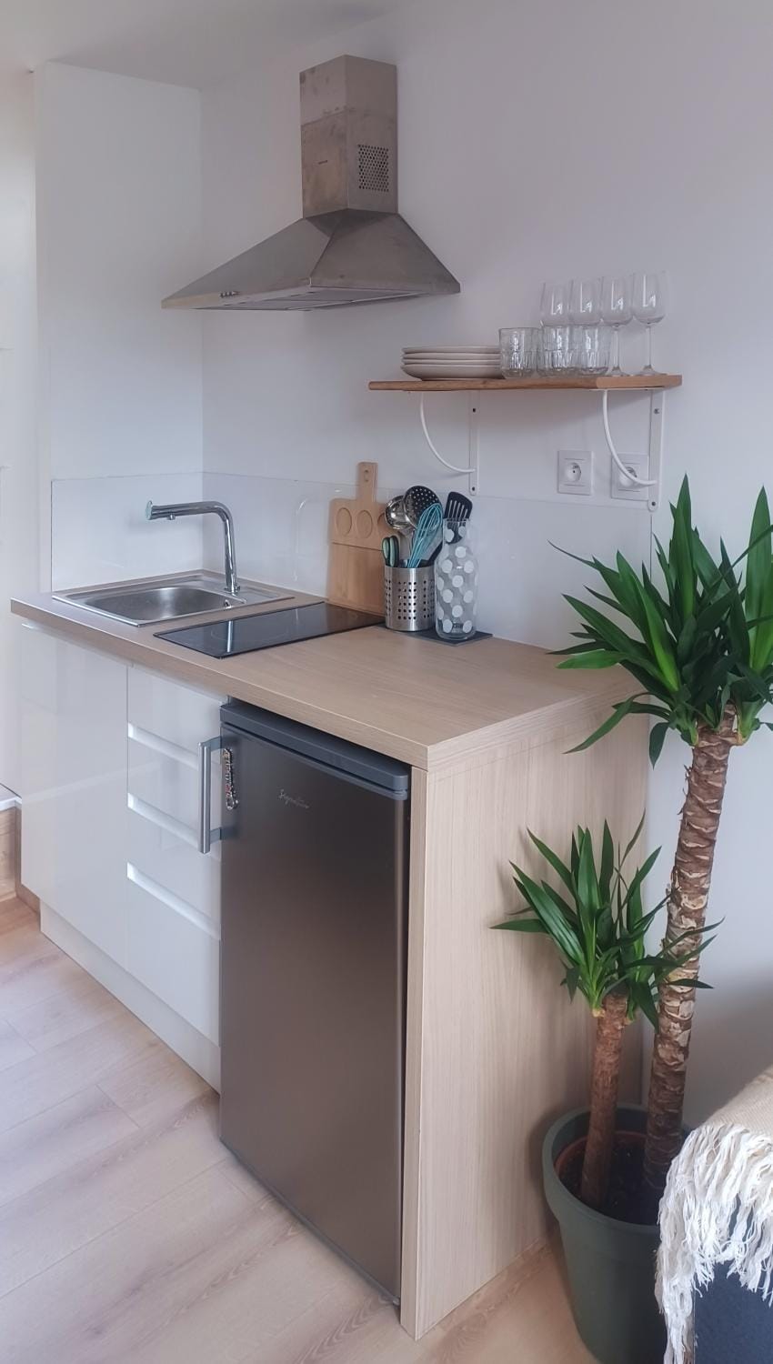 Charmant T1 meublé Apartment in Mérignac