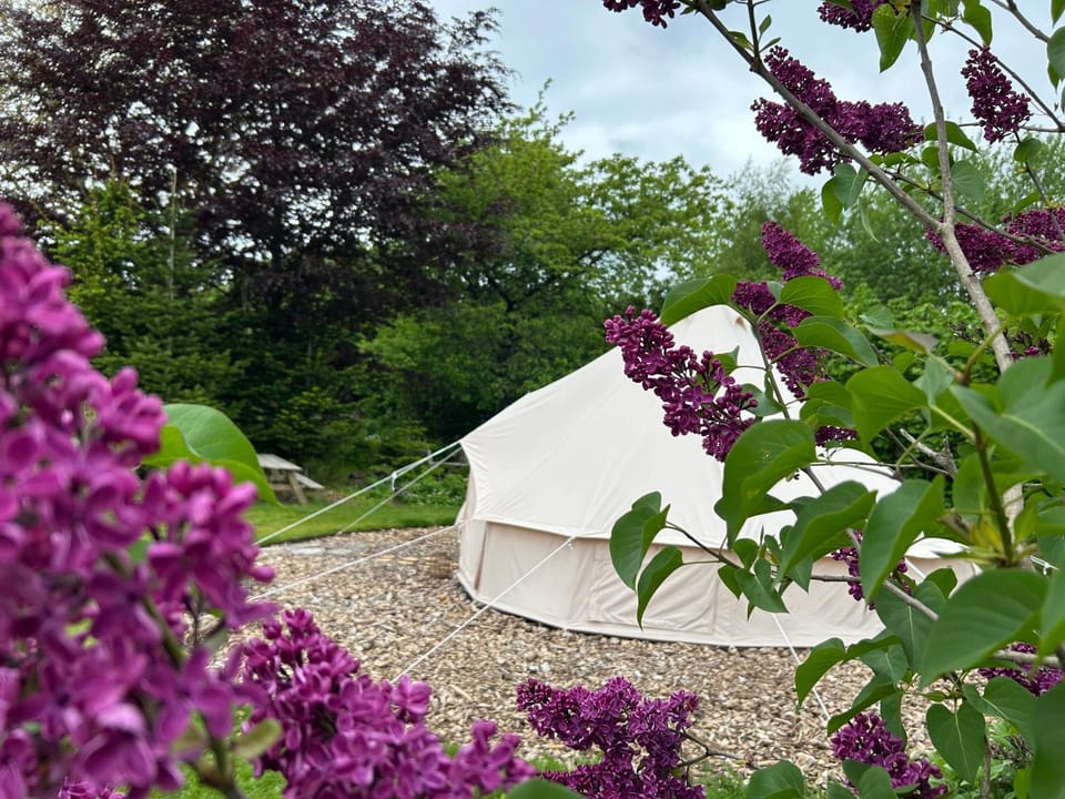 Cozy Garden Glamping Luxury tent in Svendborg