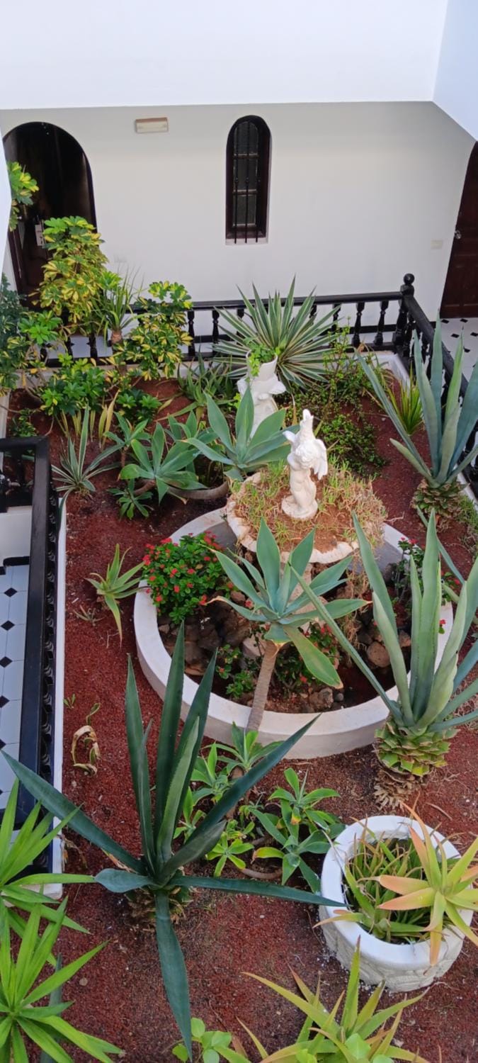 Garden view