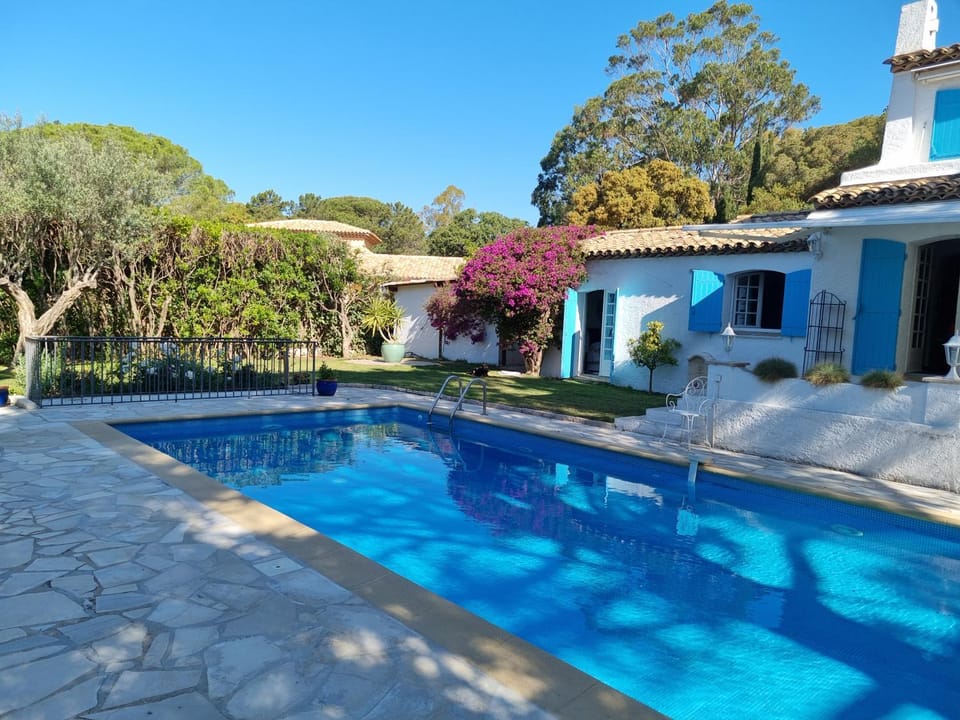 Garden view, Swimming pool, sunbed