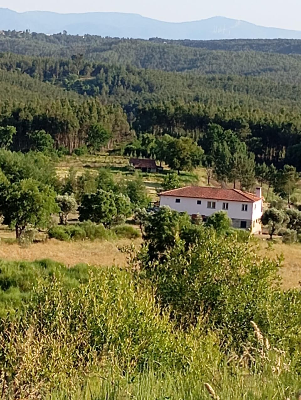 Quinta da Barroca do Cabo Bed and Breakfast in Coimbra District, Portugal