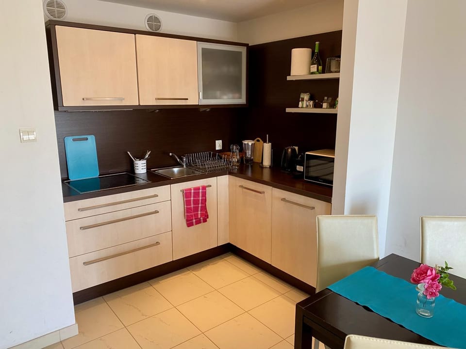 Coffee/tea facilities, Kitchen or kitchenette, minibar, pet friendly, stove, kitchen