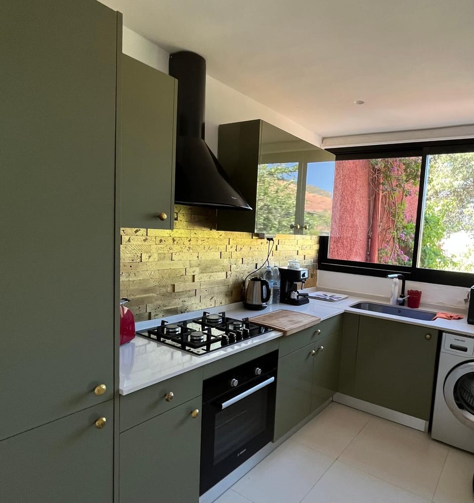 Kitchen or kitchenette, dishwasher, minibar, pet friendly, stove, washing machine