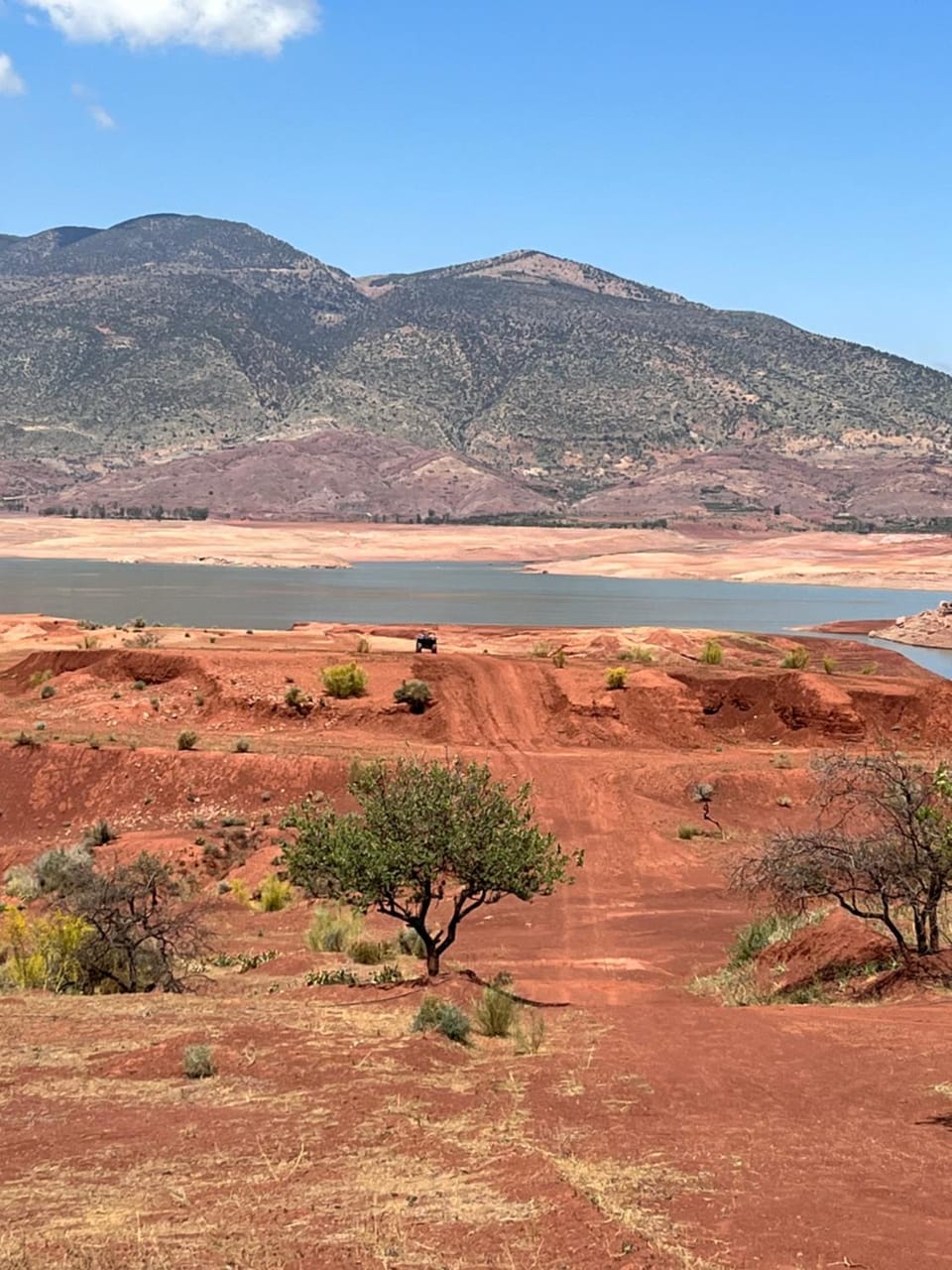 Lake view