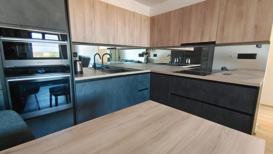Kitchen or kitchenette, dishwasher, minibar, pet friendly, stove
