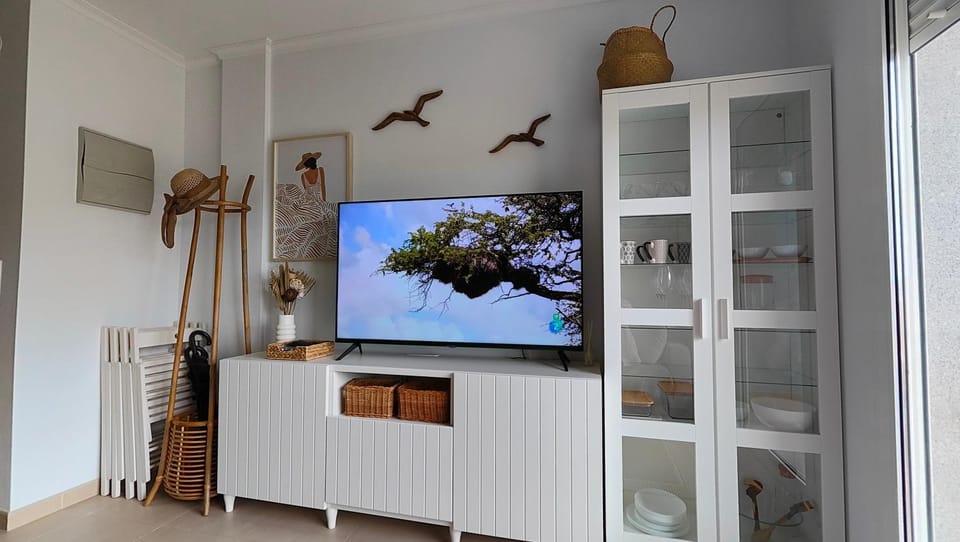 TV and multimedia
