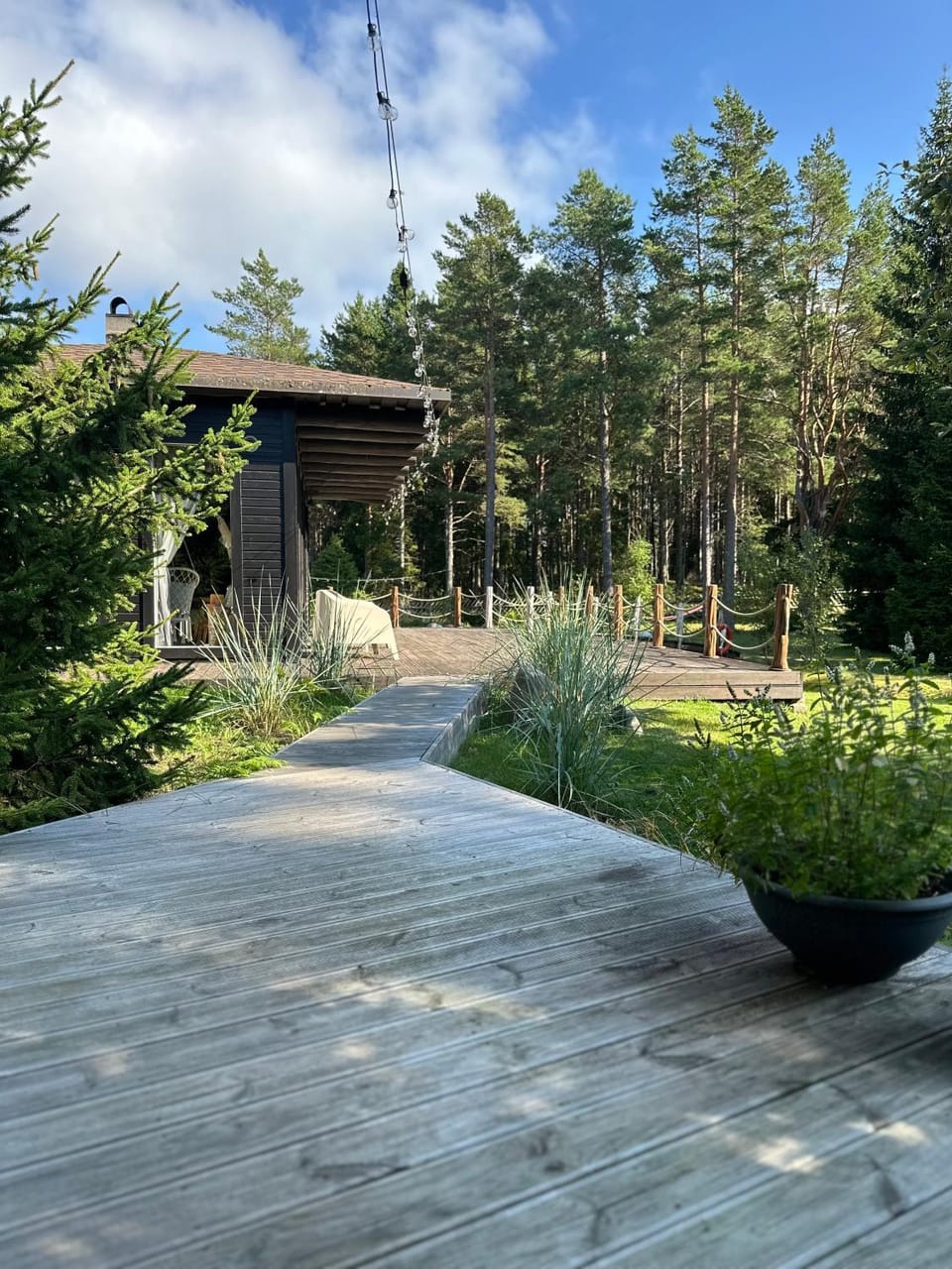 Property building, Garden, Garden view