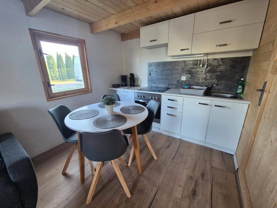 Kitchen or kitchenette, Dining area, oven, stove