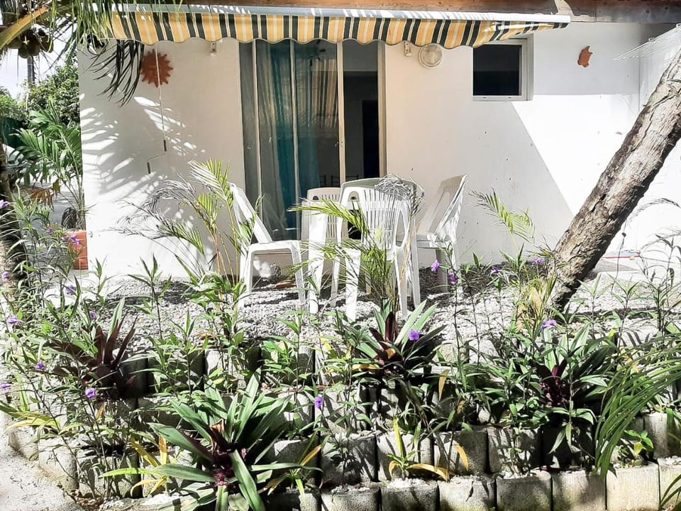 Property building, Day, Garden