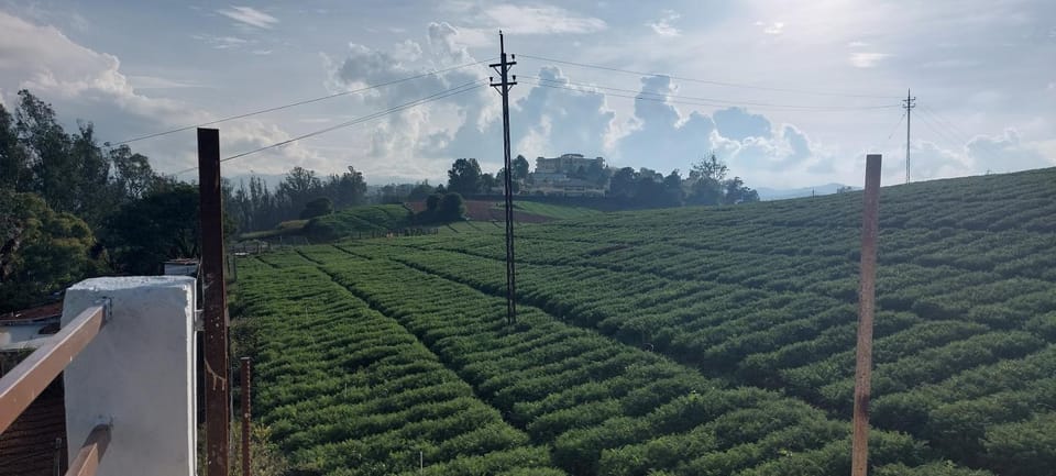 Anya Paradise Bed and Breakfast in Ooty