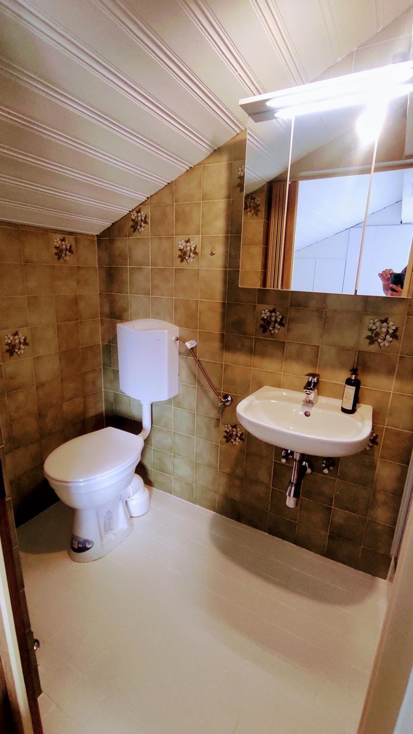 Toilet, Bathroom