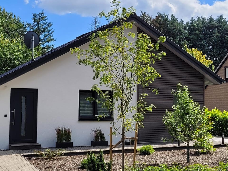 Property building, Day