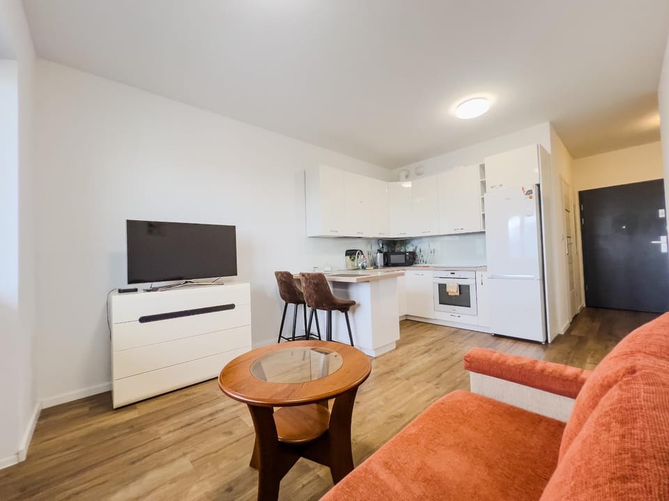 TV and multimedia, Kitchen or kitchenette, Living room, Seating area, dishwasher, stove