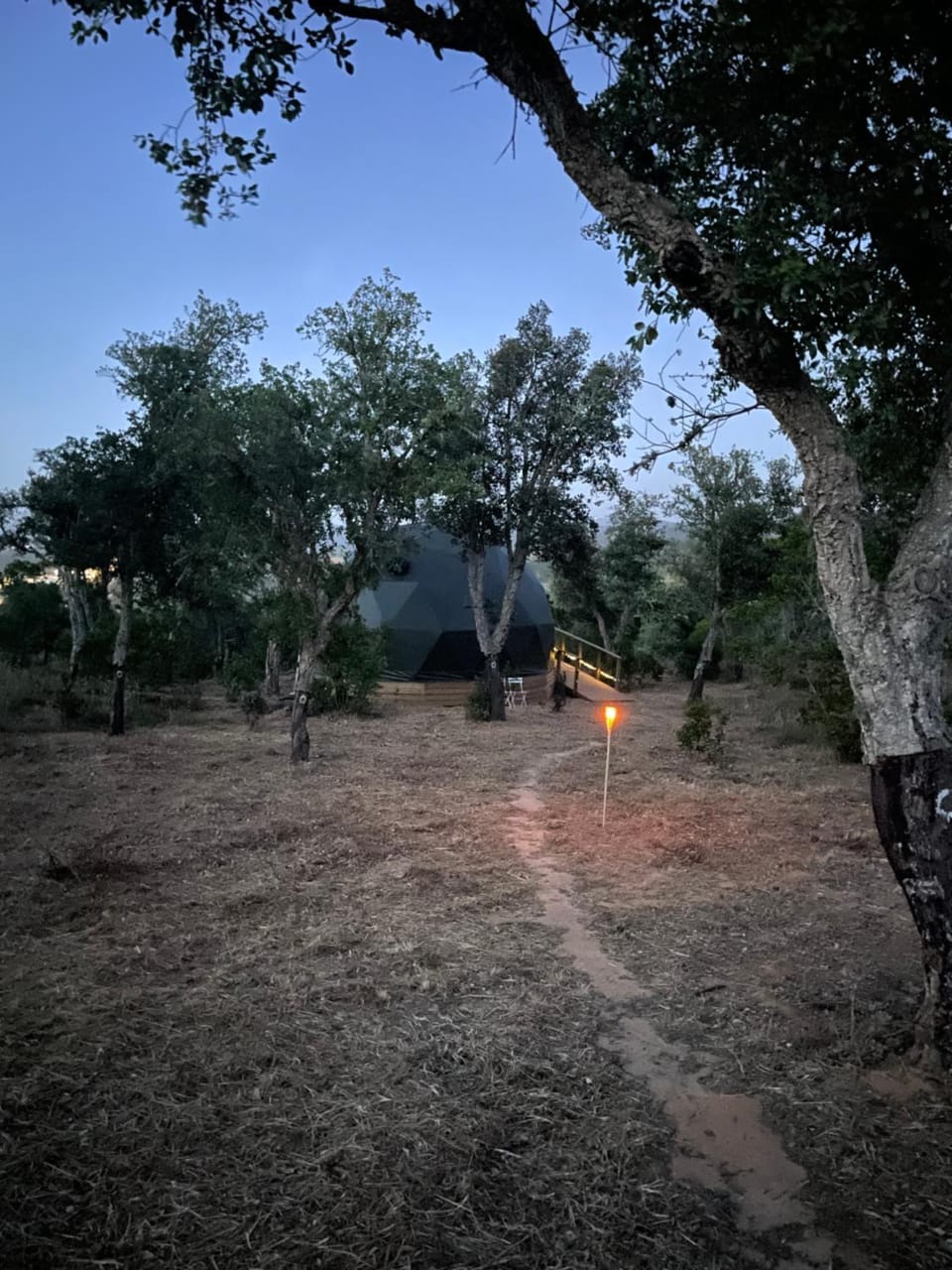 Nature Nest Aljezur House in Faro District