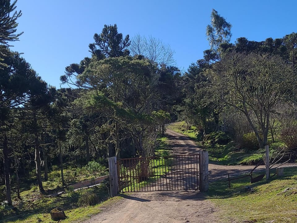 Natural landscape