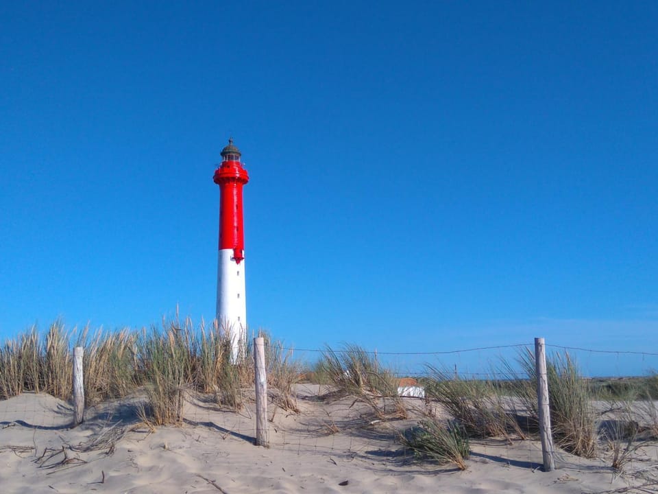 Villa 3 chambres, animaux admis, parking, proche mer - FR-1-705-38 House in Les Mathes