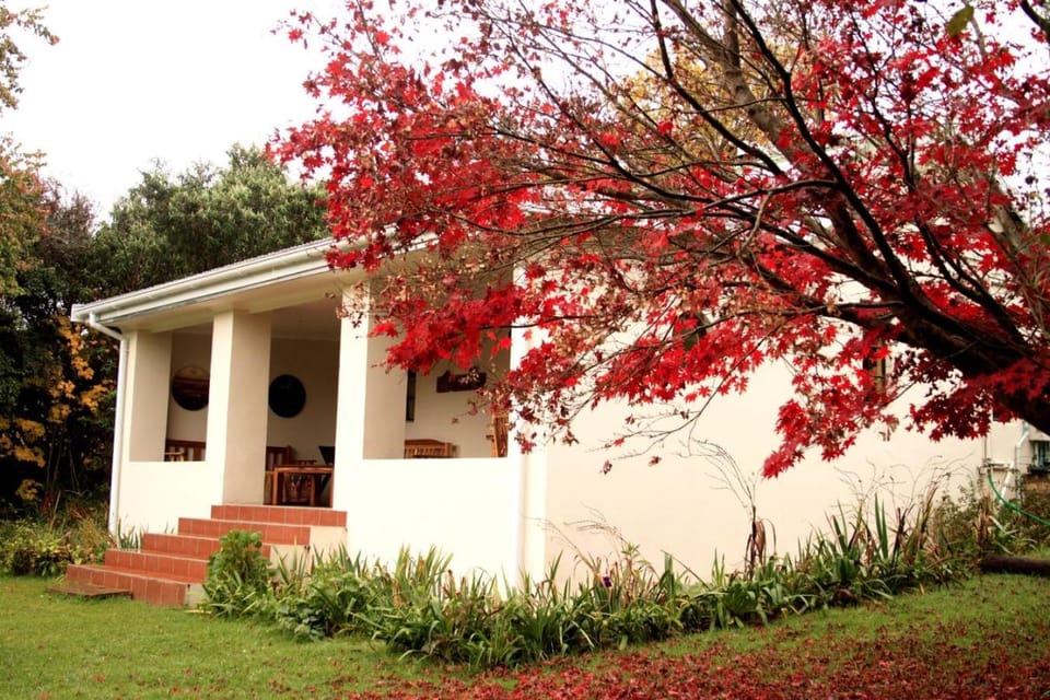Property building, Day, Garden, Autumn, Garden view