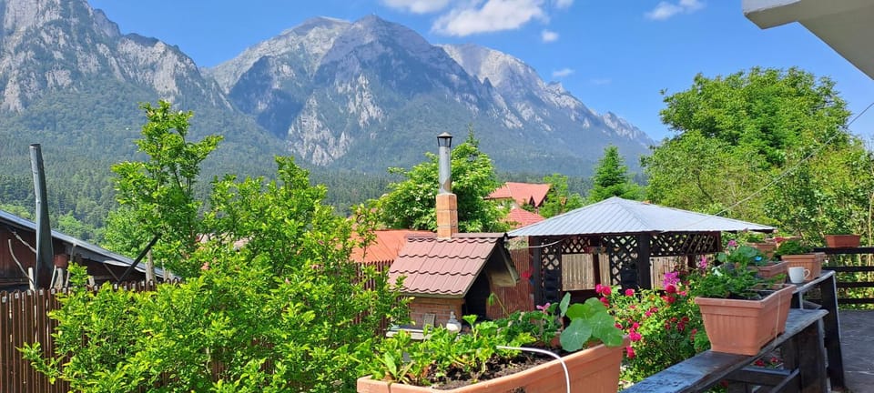 Casa Teomar Vacation rental in Prahova, Romania
