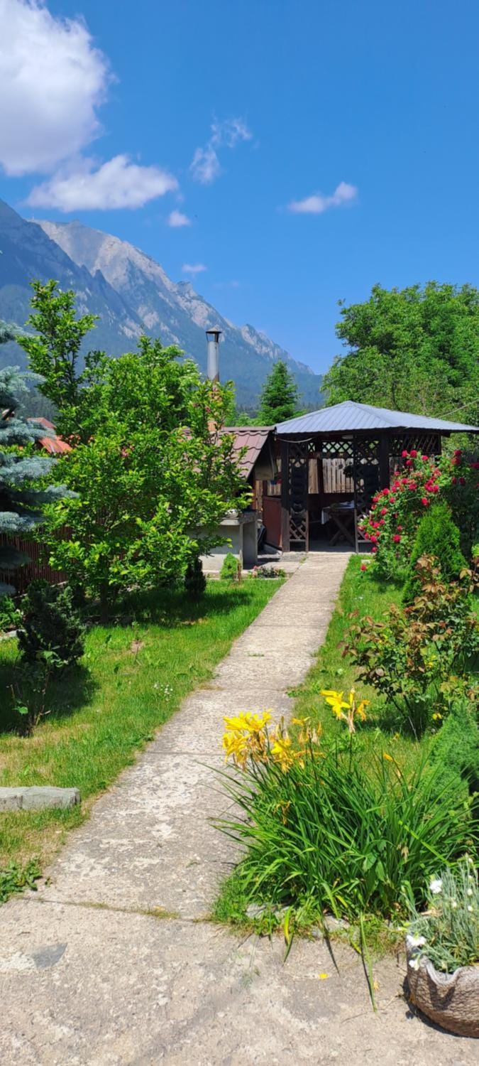 Casa Teomar Vacation rental in Prahova, Romania