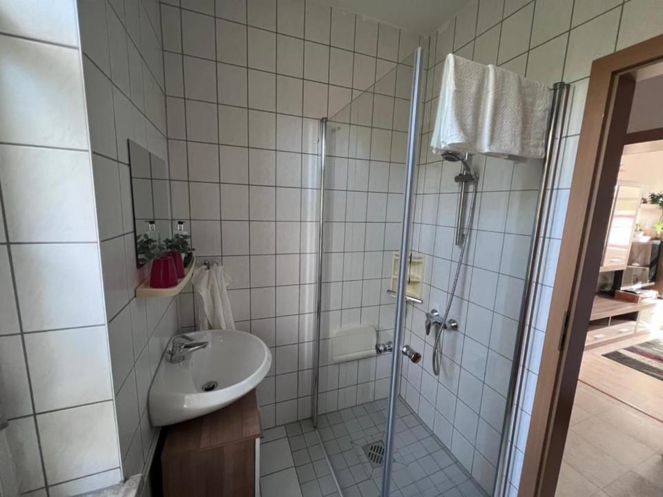 FeWo Milchstrasse Halle Apartment in Halle Saale