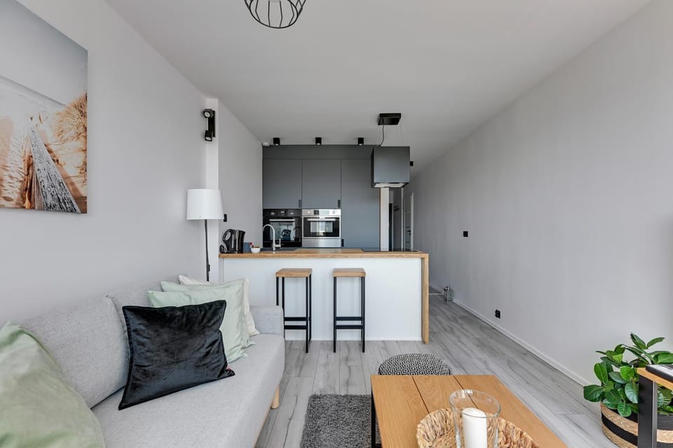 Living room, Photo of the whole room, Decorative detail, Dining area, Area and facilities, kitchen