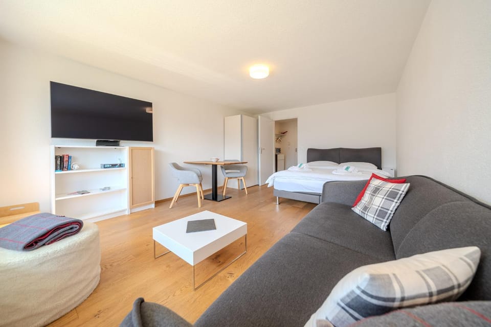 Bed, TV and multimedia, Living room, Photo of the whole room, Bedroom