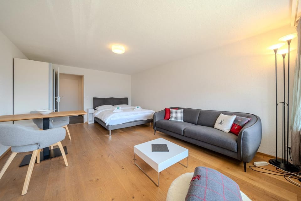 Bed, Living room, Photo of the whole room, Bedroom
