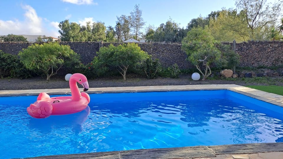 Day, Garden, Pool view, Swimming pool, Swimming pool