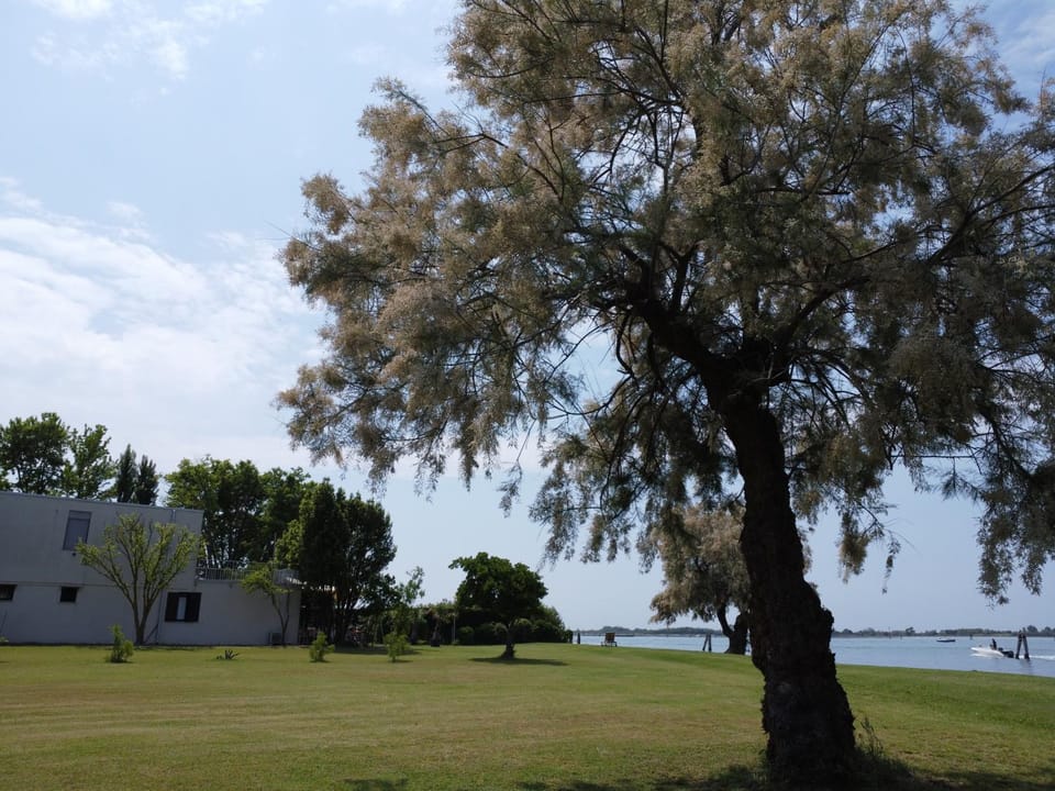 Property building, Garden, Sea view