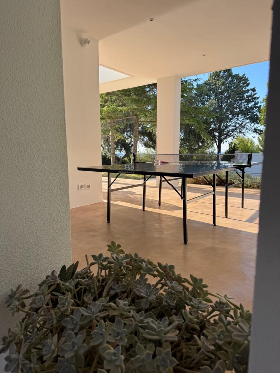 Table tennis