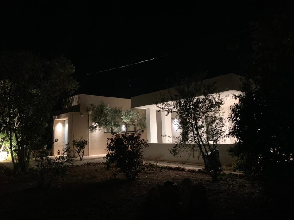 Night, Garden, Garden view