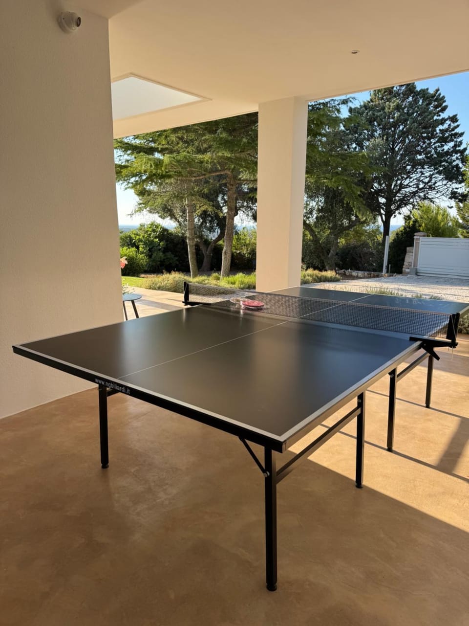 Table tennis