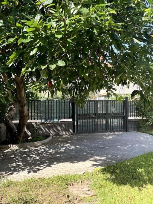 Garden, Parking