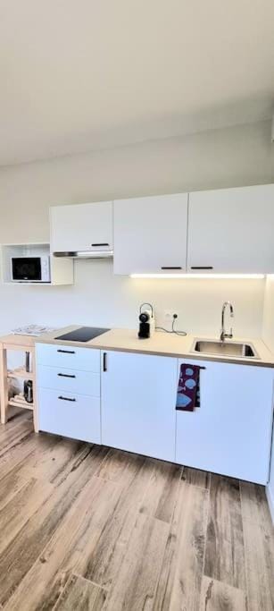 Studio Chic & Garden - Climatisation - Wifi - TV- Parking Apartment in Toulouse